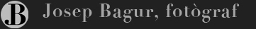 Descriptive ALT text