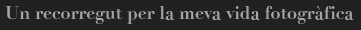 Descriptive ALT text